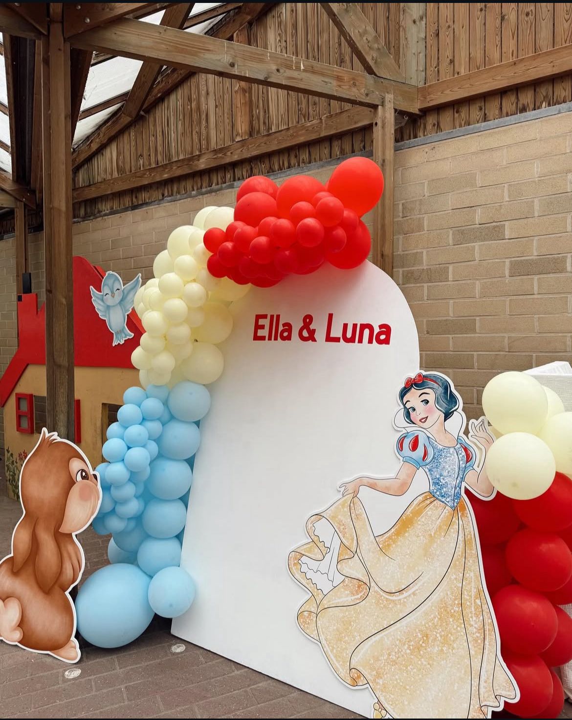 Backdrop met ballonenboog